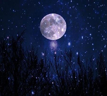 عکس ستاره کارتونی برای پروفایل