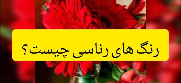 عکس رنگ روناسی