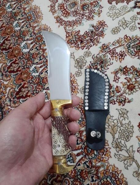 عکس چاقو تمساح