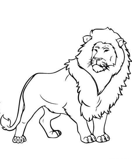 عکس نقاشی فانتزی شیر