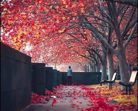عکس پاییز شیک