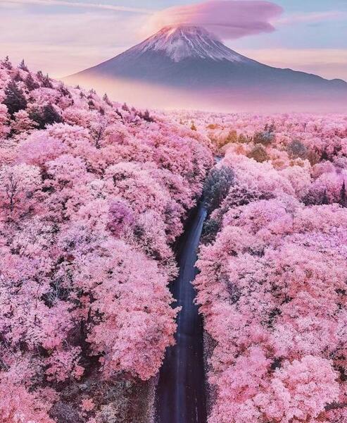عکسهای دیدنی از ژاپن