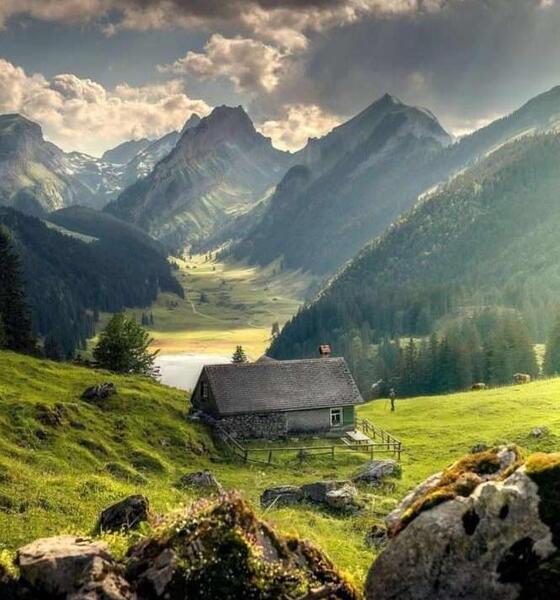 عکسهای دیدنی از ژاپن