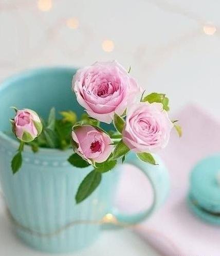 عکسهای دیدنی از ژاپن