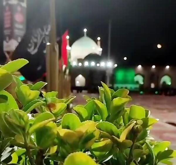 عکس امام حسین حضرت زینب