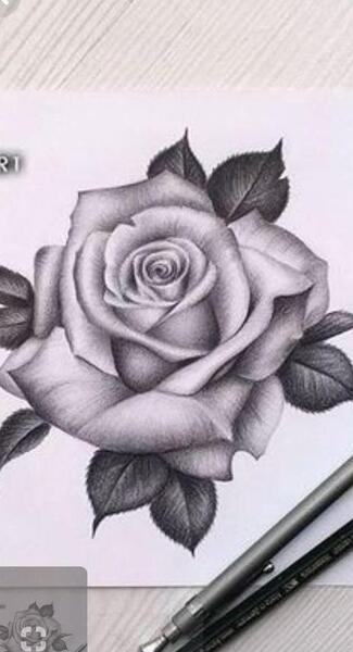 عکس گل رز واسه تتو