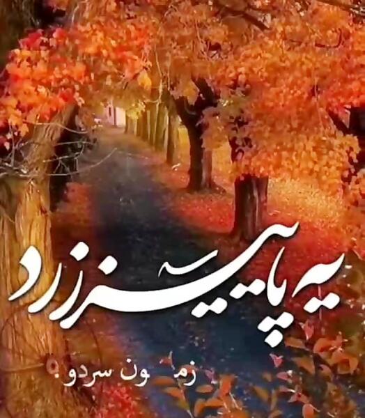 عکس استوری پاییز سرد