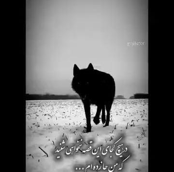 عکس استوری پاییز سرد