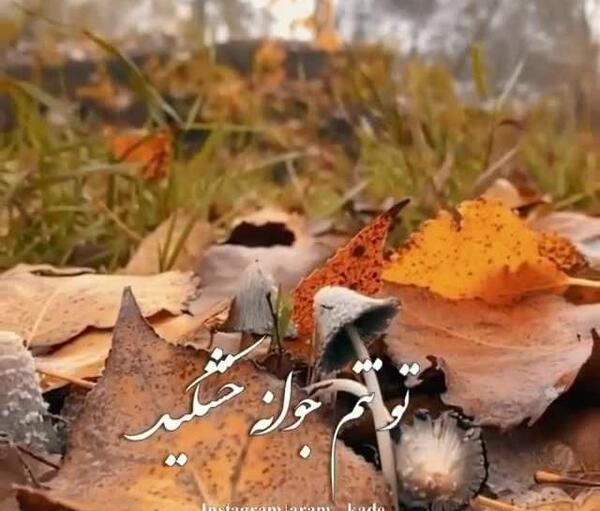 عکس استوری پاییز سرد