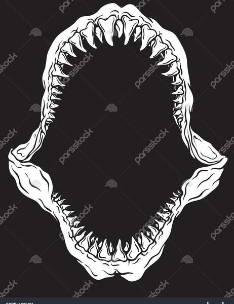 عکس اسکلت کوسه