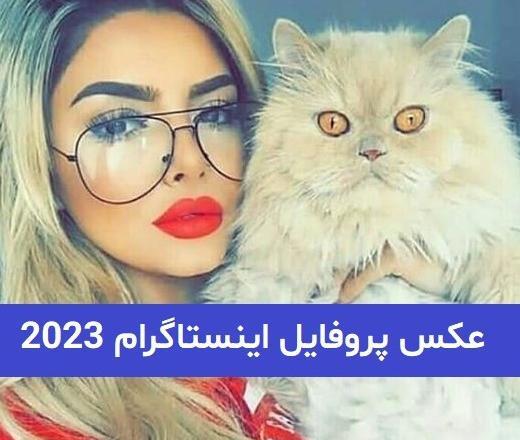 چگونه میتوان عکس پروفایل اینستاگرام را دانلود کرد