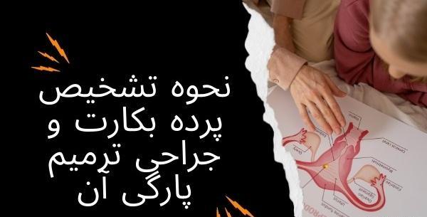 عکس حاملگیتون نی نی سایت