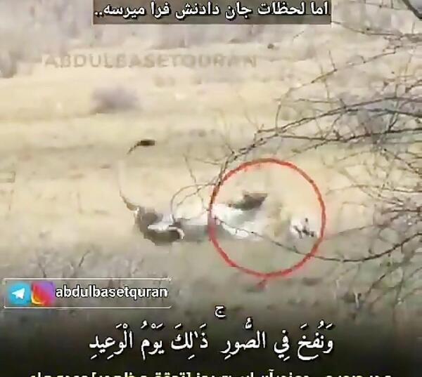 عکس سنگ قبر شمر