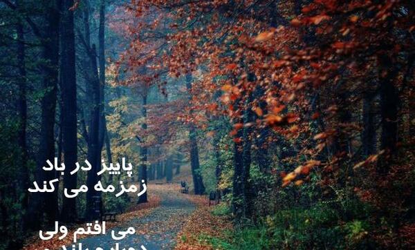 عکس استوری راجب پاییز