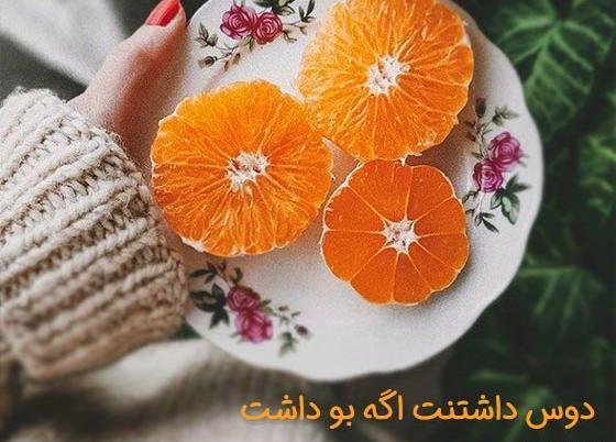 عکس استوری راجب پاییز