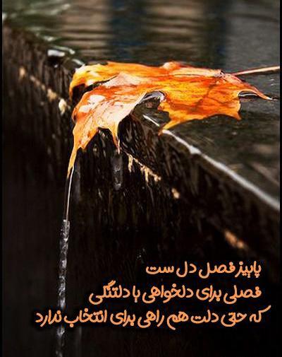 عکس استوری راجب پاییز