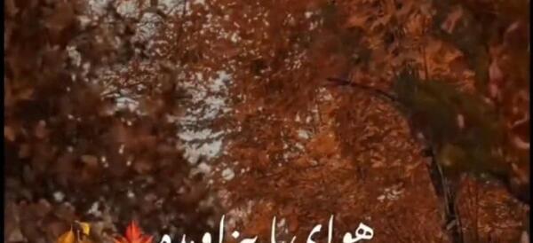 عکس استوری راجب پاییز