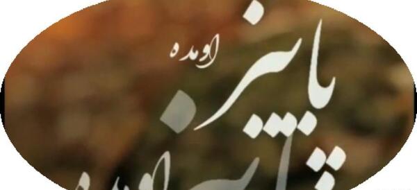 عکس استوری راجب پاییز