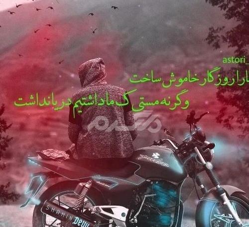 عکس شیر خوشگل برای پروفایل