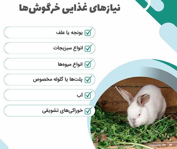 عکس غذای خرگوش لوپ
