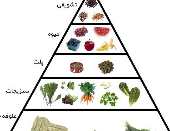 عکس غذای خرگوش لوپ