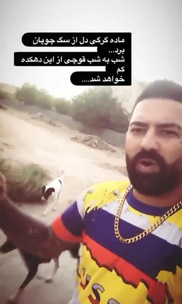 عکس پیمان ادیداس بیمارستان