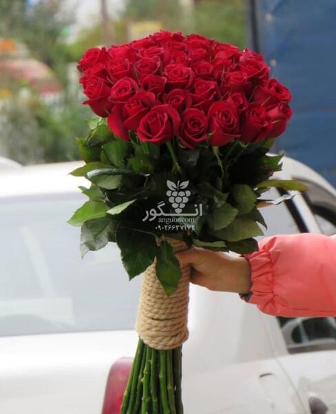 عکس ضرابخانه ایران