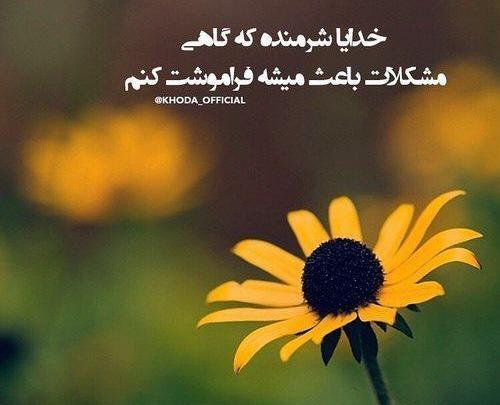 عکس نوشته خدا وقتی نخواهد عمر دنیا سر نخواهد شد