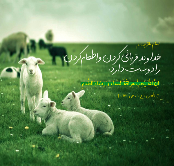 عکس حدیث عید قربان