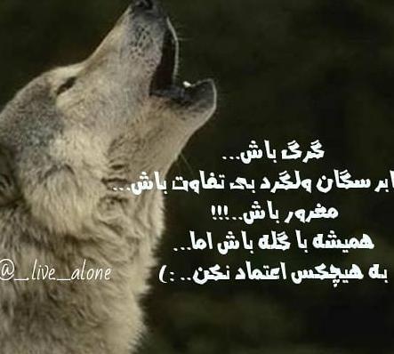 عکس نوشته پروفایل گرگ