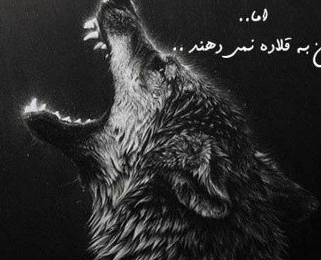 عکس نوشته پروفایل گرگ