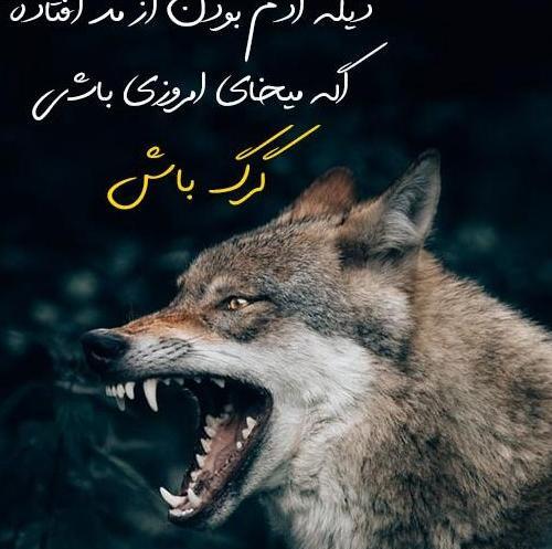 عکس نوشته پروفایل گرگ