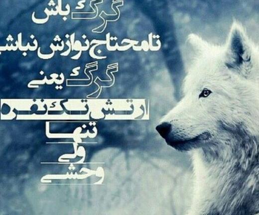 عکس نوشته پروفایل گرگ
