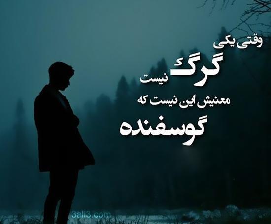 عکس نوشته پروفایل گرگ