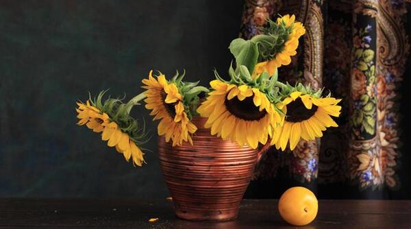 عکس گل و گلدون طبیعی جدید
