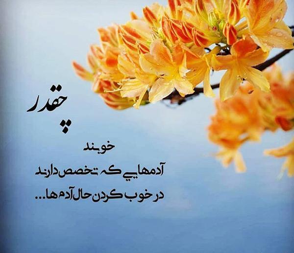 عکس روز جهانی روانشناس