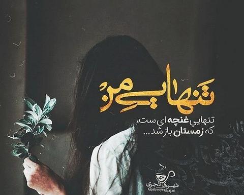 عکس حیوانات زمستانی