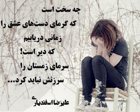 عکس حیوانات زمستانی