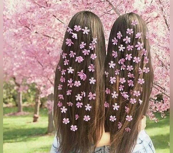 عکس پروفایل جدید بهار
