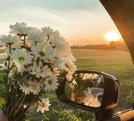 عکس پروفایل جدید بهار