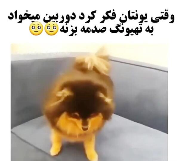عکس کیوت یونتان