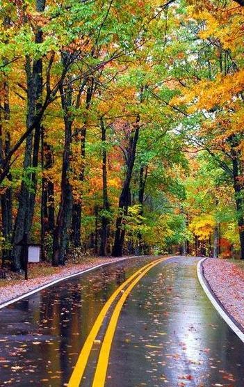 عکس برای پروفایل گوشی