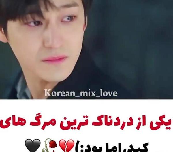 عکس عروسی روباه