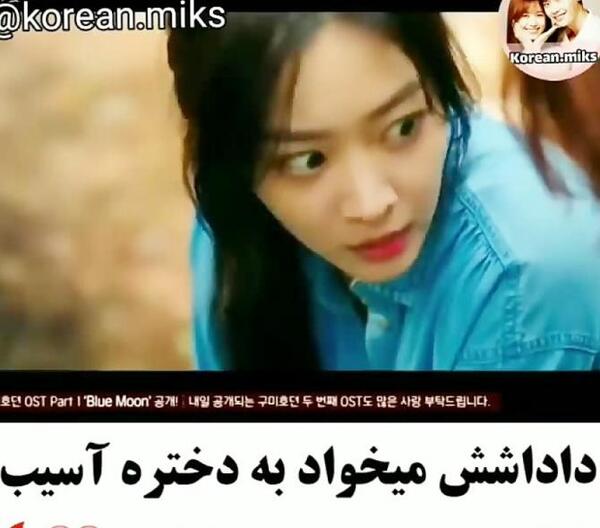 عکس عروسی روباه