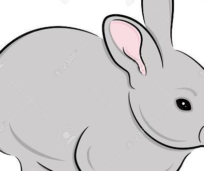 عکس نقاشی ساده خرگوش