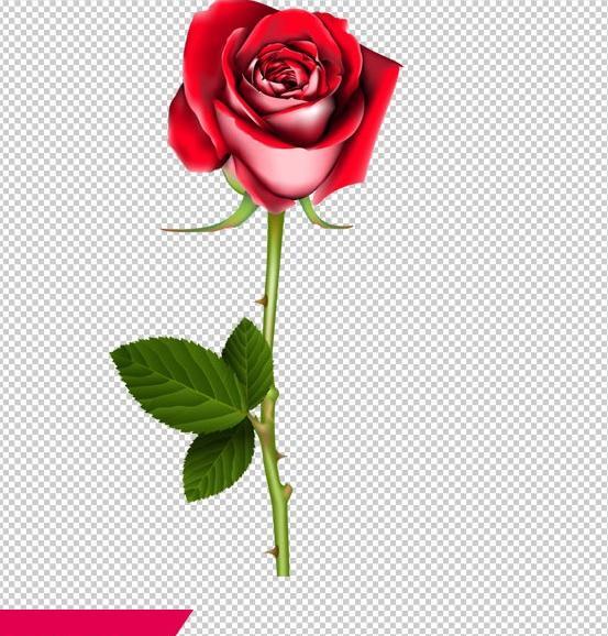 عکس نوشته دل شکسته زن