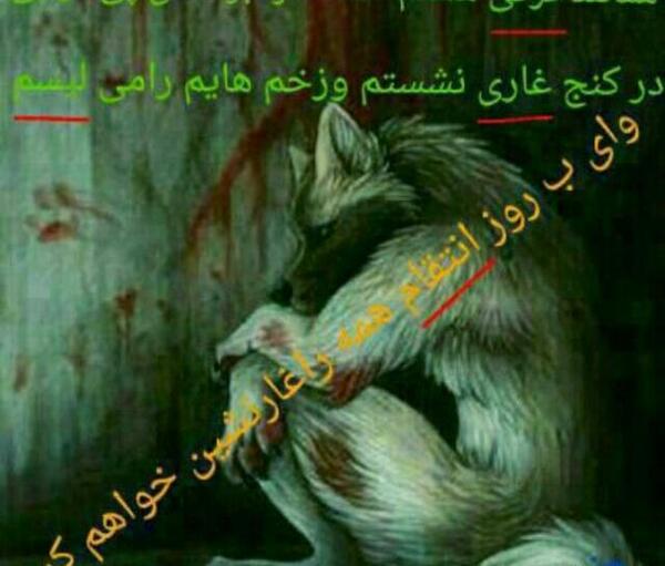 عکس گرگ زخمی در غار