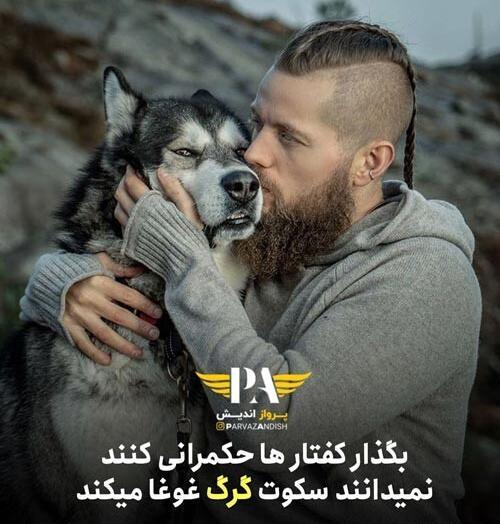 عکس گرگ زخمی در غار