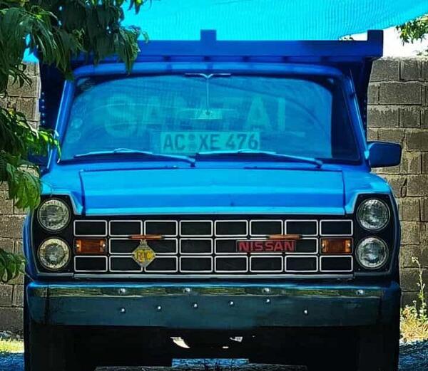 عکس سایپا باری