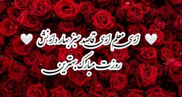 عکس روز معلم